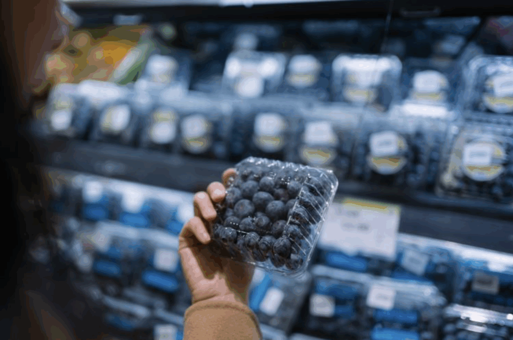 Blueberry Recall